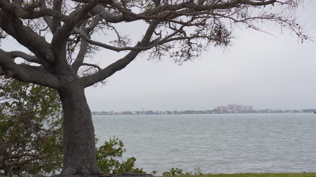 women's residential mental health treatment